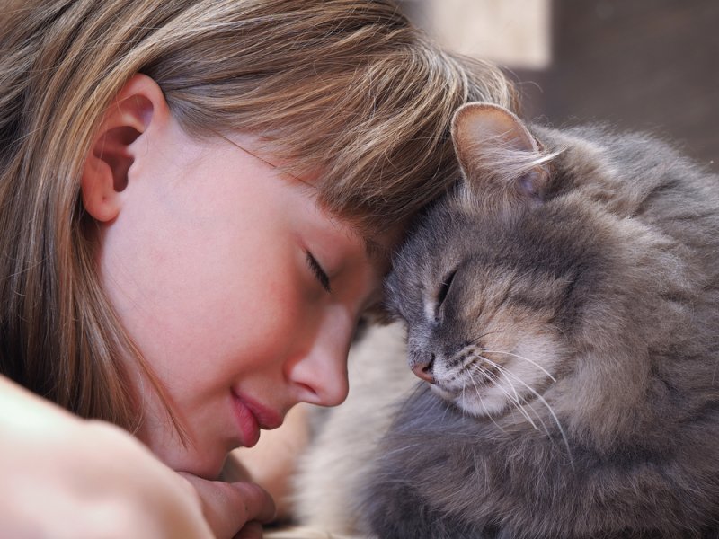 Як дізнатися, що ваш кіт вас любить: особливості поведінки та комунікації у кішок